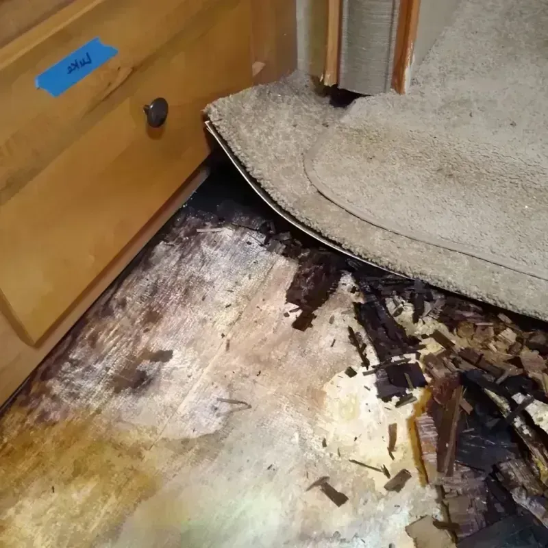 Wood Floor Water Damage in Royal Pines, NC